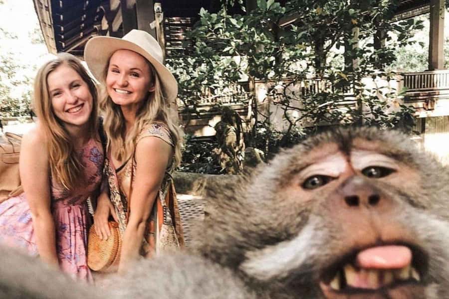 BALI :Sanctuary Monkey forest, rice terrace Water temple - Tegalalang Rice Terrace and the Classic Ubud View