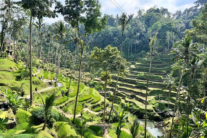 Bali Spiritual: Balinese Healing, Temple & Rice Terrace - Coffee and lunch breaks, with a small catch