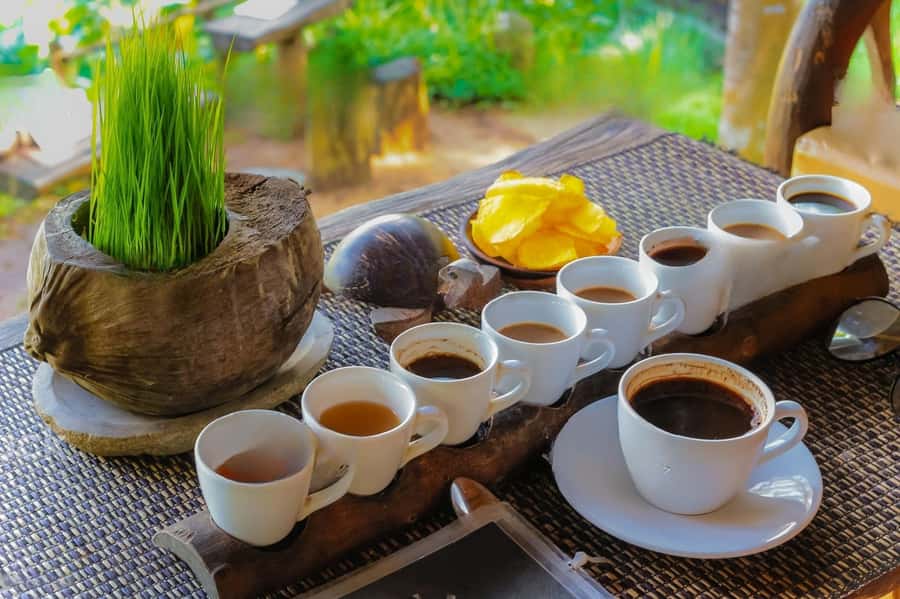 Bali: Sunrise Jeep & Rice Terrace Private Tour - Walking Bali’s rice terraces
