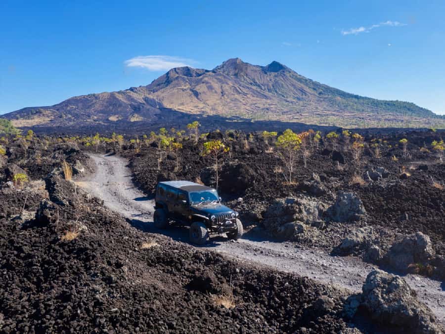 Bali: Sunrise Jeep & Rice Terrace Private Tour - Victor and the human side of the service