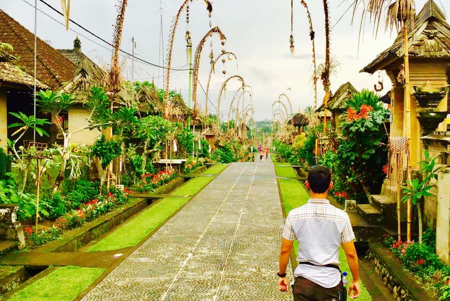 Bali: Swing with Falls, Rice Terrace, & Monkey Forest Option - Guides, driving, and the reality of Bali traffic