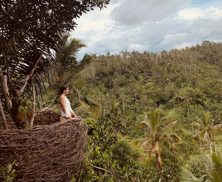 Bali: Swing with Falls, Rice Terrace, & Monkey Forest Option - Penglipuran Village for a cultural change of pace