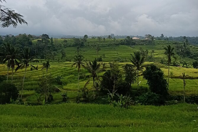 Bali Tanah Lot, Ulun Danu Beratan & Jatiluwih Rice Terrace - Ulun Danu Beratan beside the lake