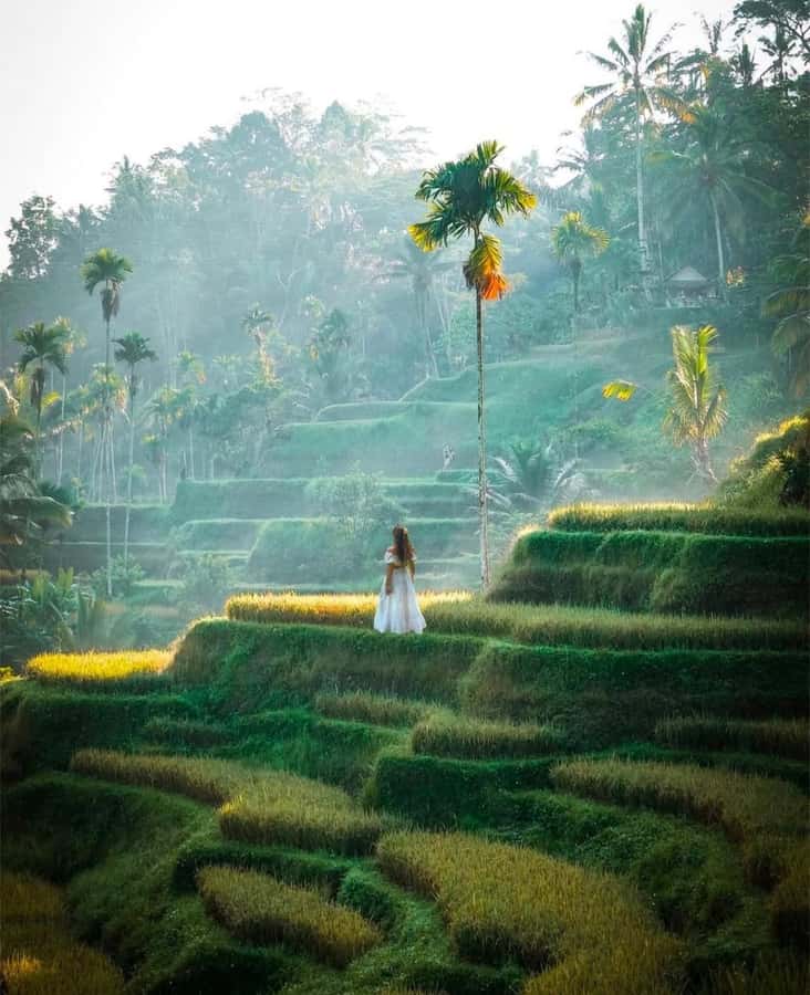 Bali: Temples, waterfall, and Rice Terrace Guided Tour - What to bring and who should skip it