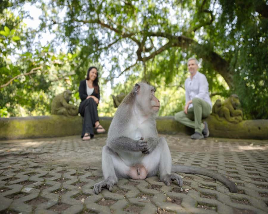 Bali: Temples, waterfall, and Rice Terrace Guided Tour - The guide and vehicle can make or break the day