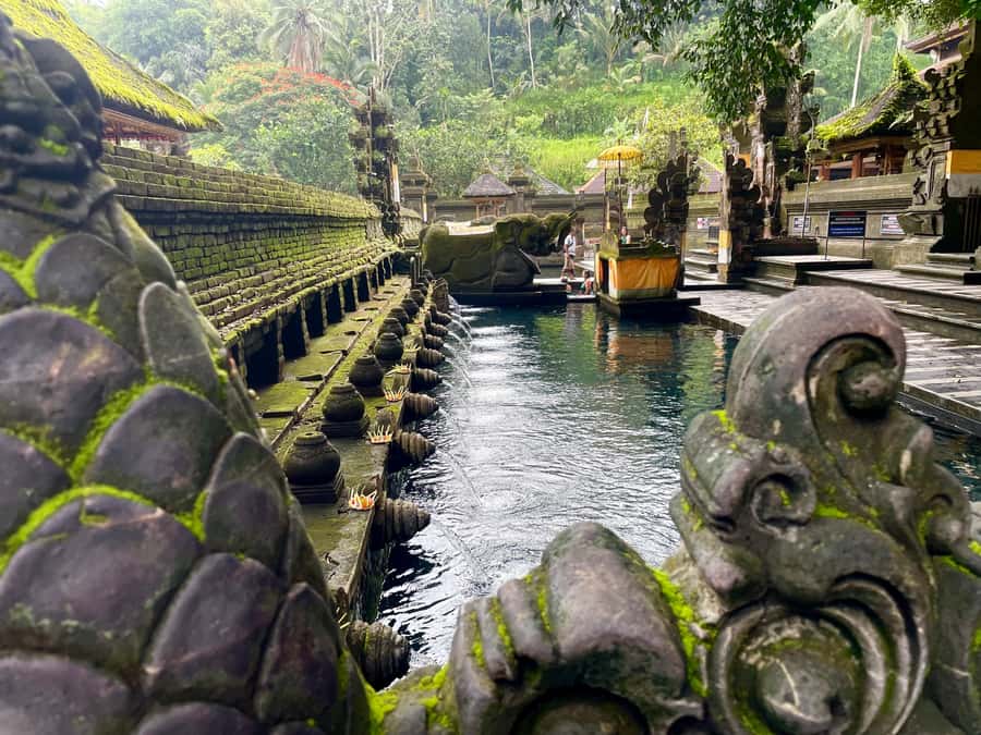 Bali: Tirta empul Temple, Rice terrace and Waterfall - Tegalalang Rice Terrace and the Bali Swing