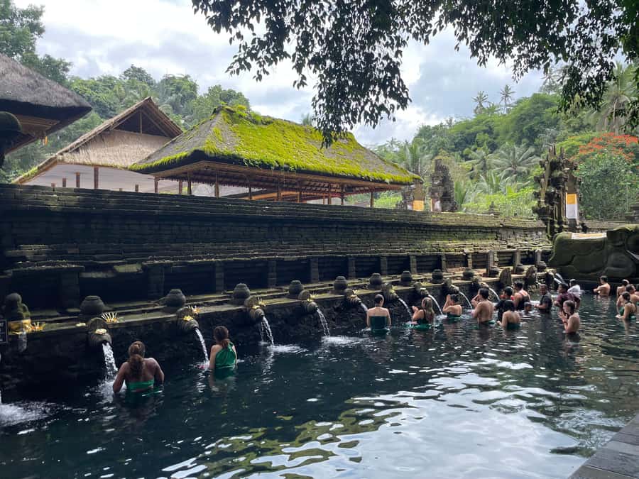 Bali: Tirta empul Temple, Rice terrace and Waterfall - A Traditional Coffee Plantation Stop