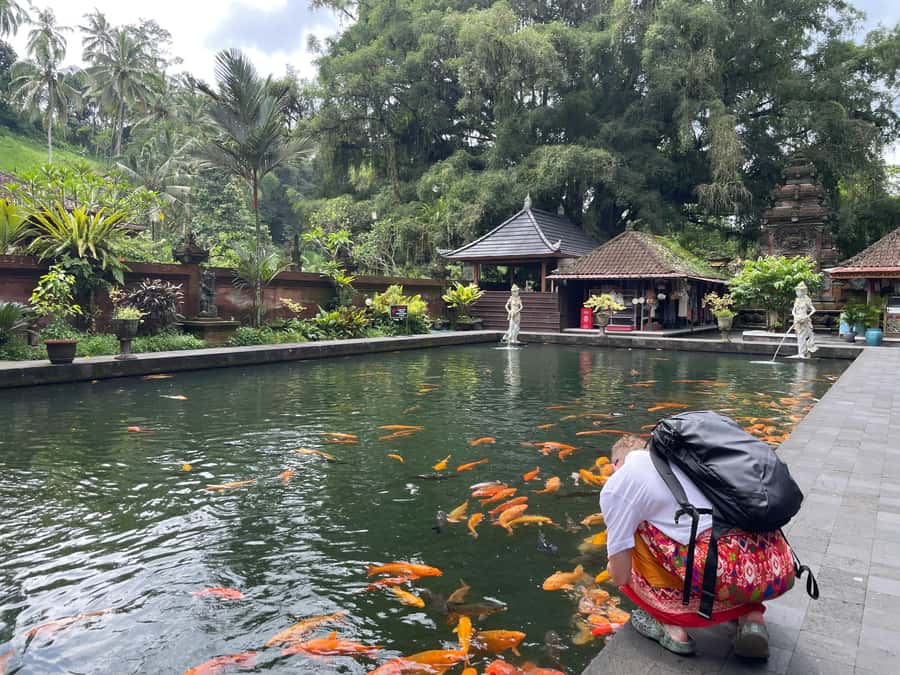 Bali: Tirta empul Temple, Rice terrace and Waterfall - Should You Book It?