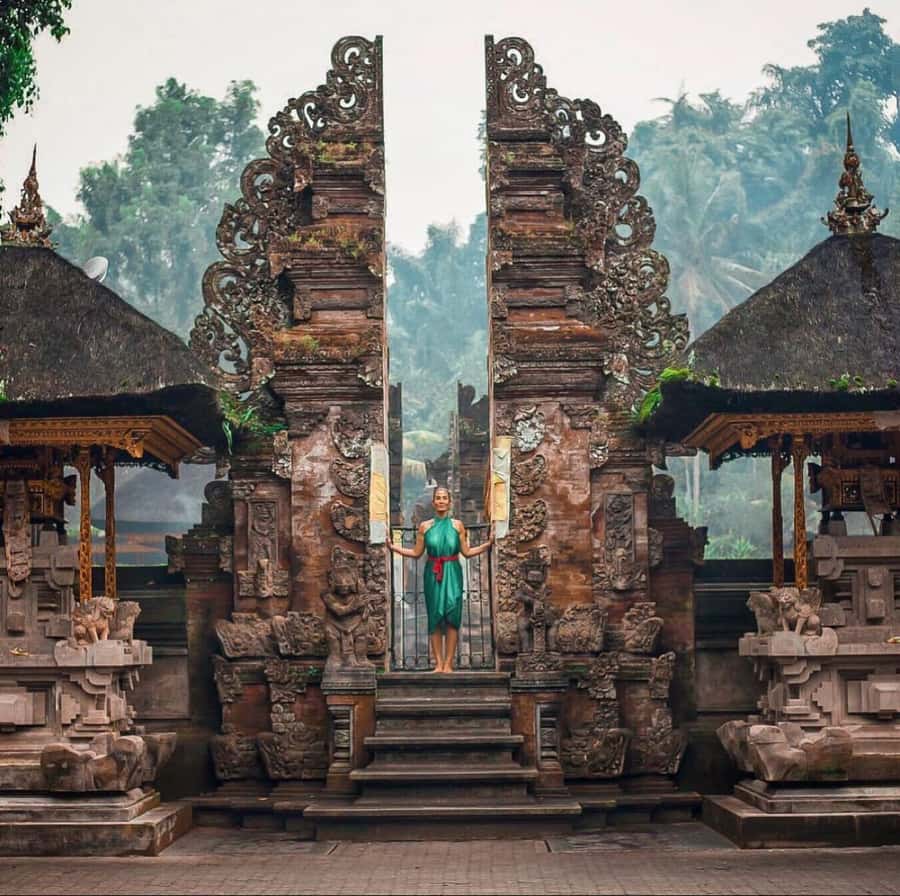 Bali Top's 3 Waterfalls - Temple And Rice Terrace - Tegallalang Rice Terrace: finish with Bali’s classic scenery