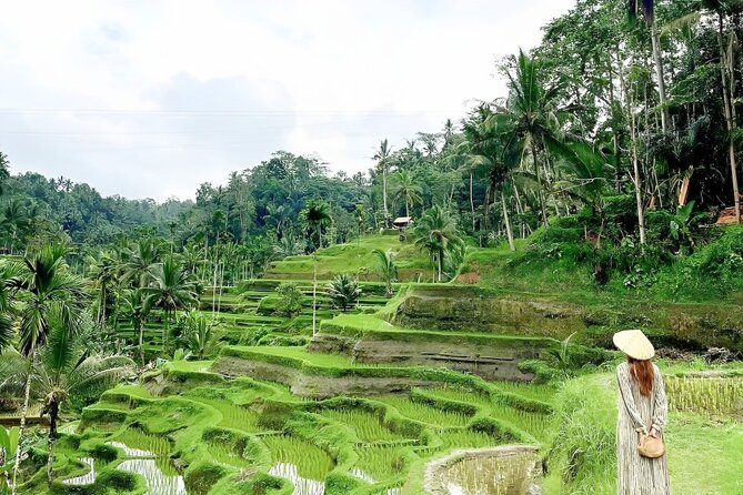 Bali Tour : Best Attractions in Ubud with Rice Terrace - Why this Ubud day works for first-time visitors