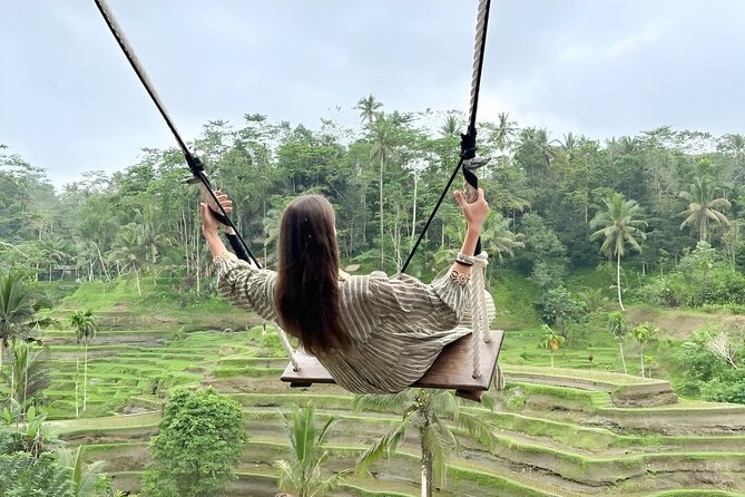 Bali Tour : Best Attractions in Ubud with Rice Terrace - Private transport, Wi-Fi, and the traffic question