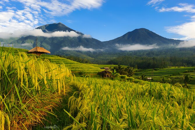 Bali Tour: Lake, Iconic Gate, Temple, Hot Spring and Rice Terrace - Key points to know before booking