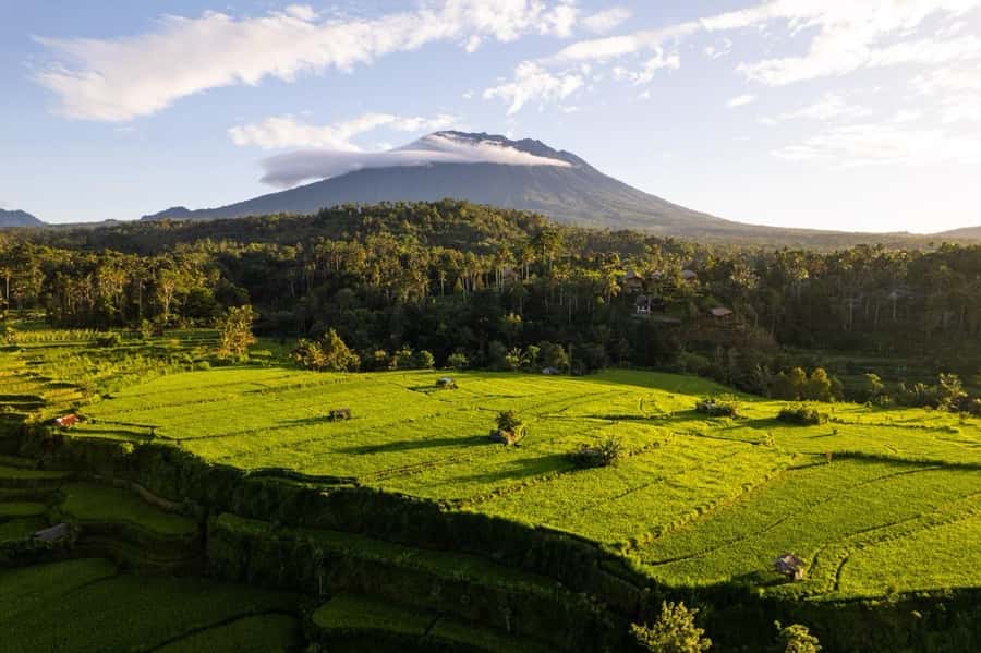 Bali: Traditional Villages, Salt Farm & Tirta Gangga Tour - Key points to know before booking
