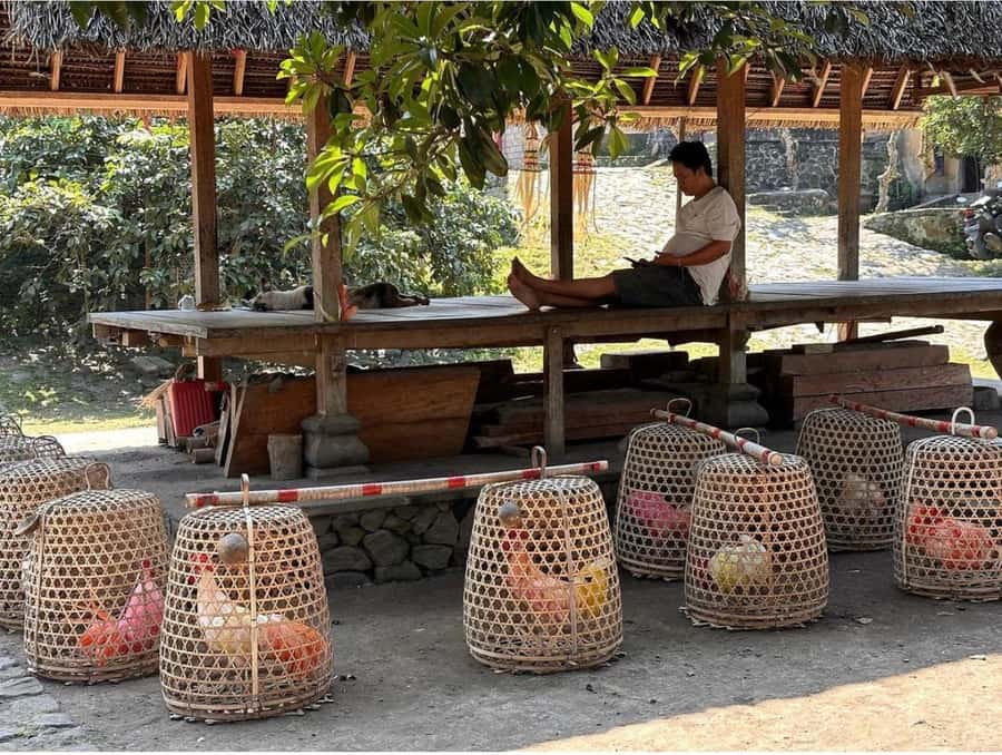 Bali: Traditional Villages, Salt Farm & Tirta Gangga Tour - Why East Bali is worth your day