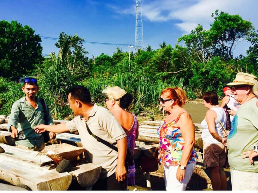 Bali: Traditional Villages, Salt Farm & Tirta Gangga Tour - Tirta Gangga, the photo stop with substance