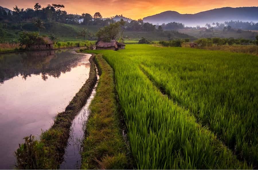 Bali: Traditional Villages, Salt Farm & Tirta Gangga Tour - The guide can shape the whole day