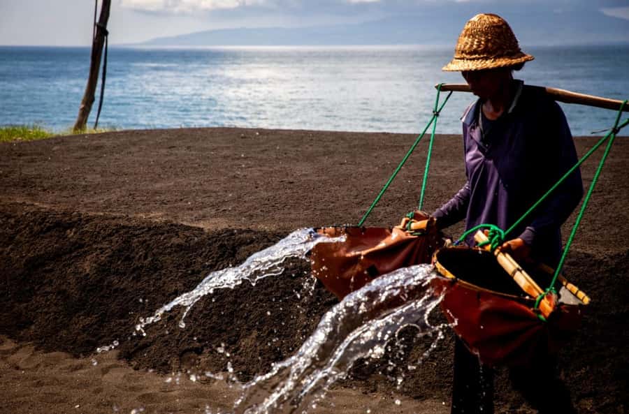 Bali: Traditional Villages, Salt Farm & Tirta Gangga Tour - Transport, timing, and the long return