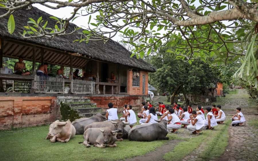 Bali: Traditional Villages, Salt Farm & Tirta Gangga Tour - Sidemen Village in 45 minutes