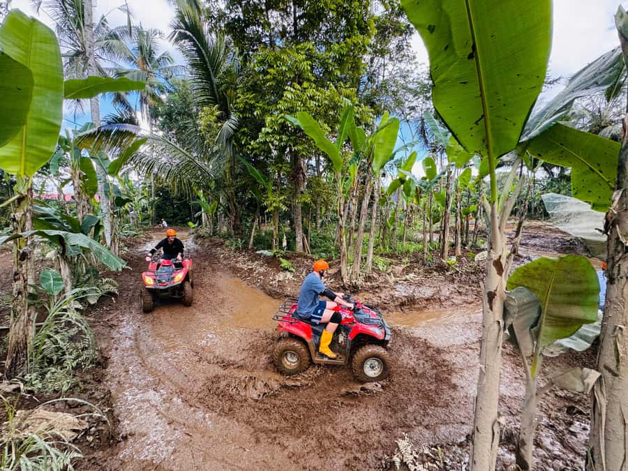 Bali: Ubud ATV Quad Bike, Jungle Swing & Rice Terrace Tour - Who should book this Ubud adventure?