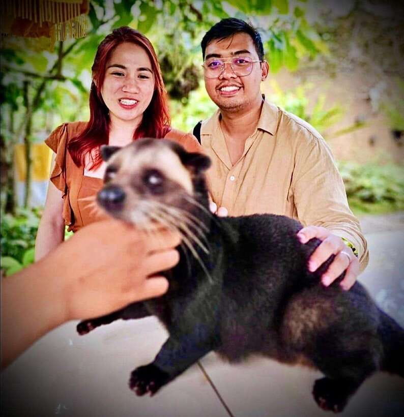 Bali: Ubud Monkey Forest, Coffee Plantation, and Market Tour - Coffee, herbs, and the Satria plantation