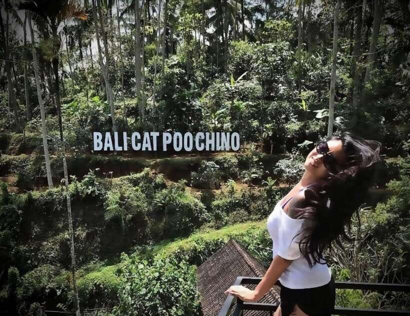 Bali: Ubud Monkey Forest, Coffee Plantation, and Market Tour - Choosing between the Ubud market and a smaller local market