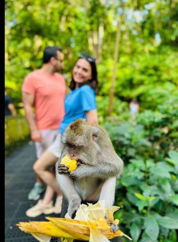 Bali: Ubud Monkey Forest, Coffee Plantation, and Market Tour - Who will get the most from this tour