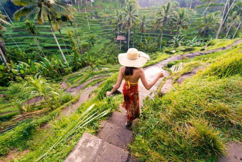 Bali: Ubud Monkey Forest, Waterfall, and Rice Terrace Tour - Key things to know before you book