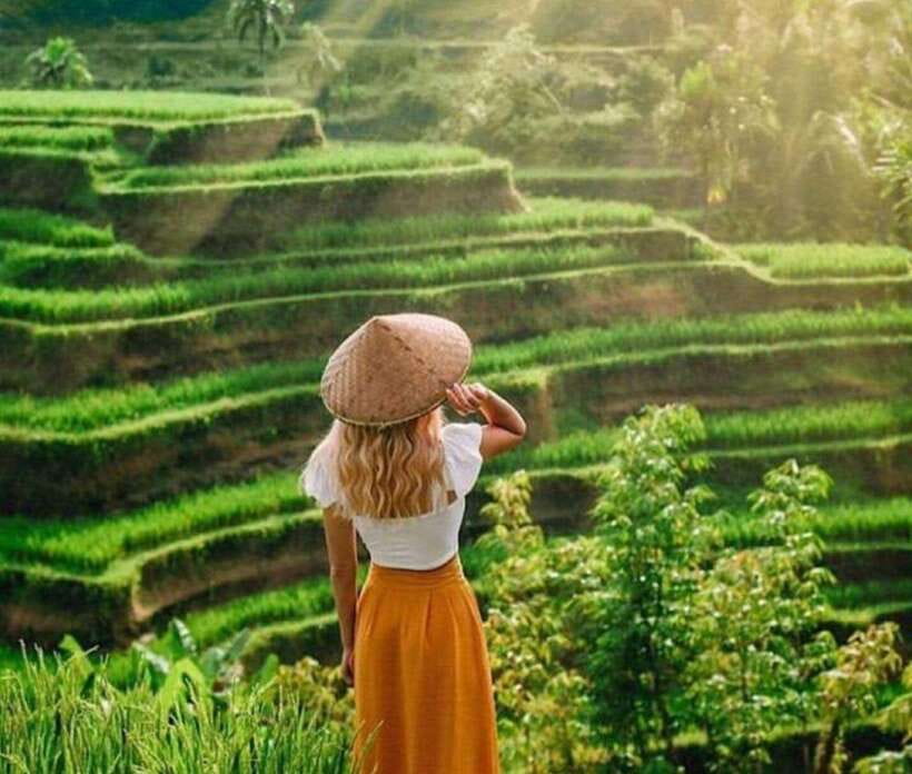 Bali: Ubud Monkey Forest, Waterfall, and Rice Terrace Tour - The real value of $25 per person