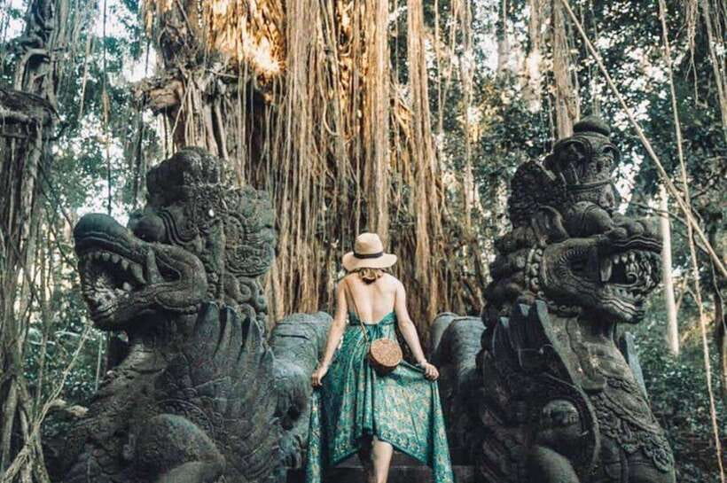 Bali: Ubud Monkey Forest, Waterfall, and Rice Terrace Tour - Who will enjoy this day most
