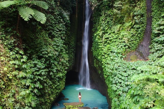 Bali: Ubud (Temple, Spring, Rice Terraces, & Waterfall) - The optional stops are useful only if your timing allows