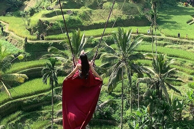 Bali Ubud Tour Monkey Forest, Waterfall, Temple & Rice Terrace - Why this route works for a first day in Ubud