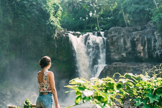 Bali Ubud Tour Monkey Forest, Waterfall, Temple & Rice Terrace - Reading the rice terraces at Tegalalang