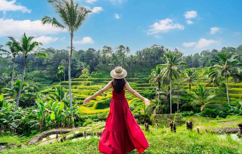 Bali: Ubud Tour with Tirta Empul Temple and Rice Terrace - Practical planning for the day