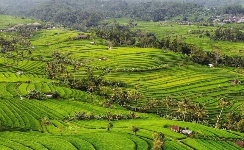 Bali : Ulun Danu Beratan Temple and UNESCO Rice Terrace Tour - What the private transport adds at $49
