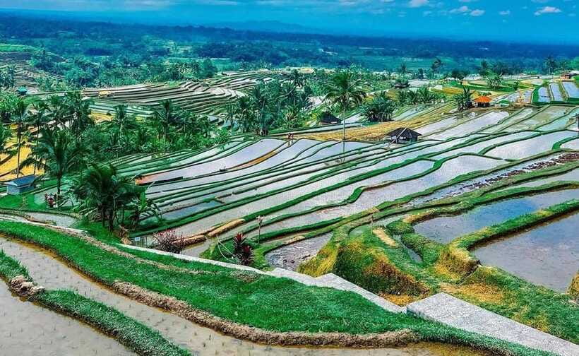 Bali : Ulun Danu Beratan Temple and UNESCO Rice Terrace Tour - FAQ