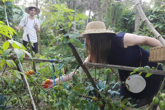 Balinese Cooking Class at Organic Farm - Cooking six Balinese dishes over wood fire