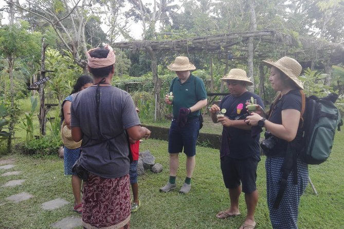 Balinese Cooking Class at Organic Farm - What the $40 price includes in practical terms