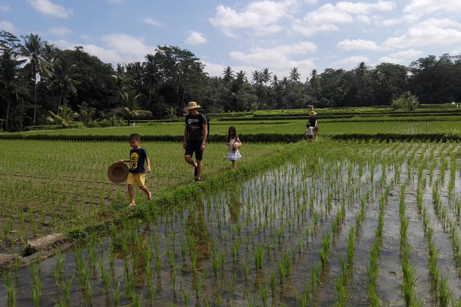 Balinese Cooking Class at Organic Farm - Learning about Bali’s subak water system