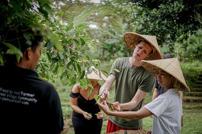 Balinese Farm Cooking Class by Pemulan Bali - The Morning Market Adds Useful Context