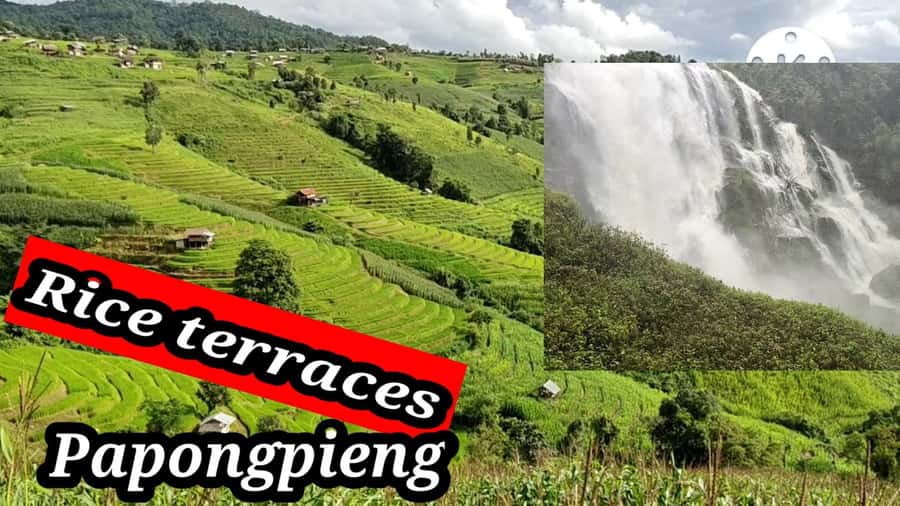 Ban Pa Pong Pieng Rice Terraces Private Guided Tour - Key points before you book