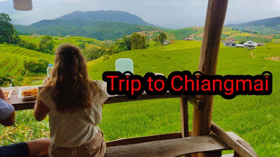 Ban Pa Pong Pieng Rice Terraces Private Guided Tour - Afternoon at the rice terraces