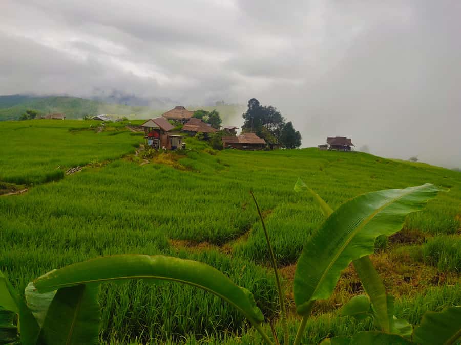 Ban Pa Pong Pieng Rice Terraces Private Guided Tour - Who will enjoy this two-day route