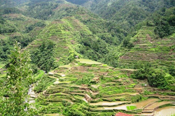 Banaue-Hapao Rice Terraces (Car Rental W/ Manila Tourist Driver) - Hiwang Village and the views near Banaue