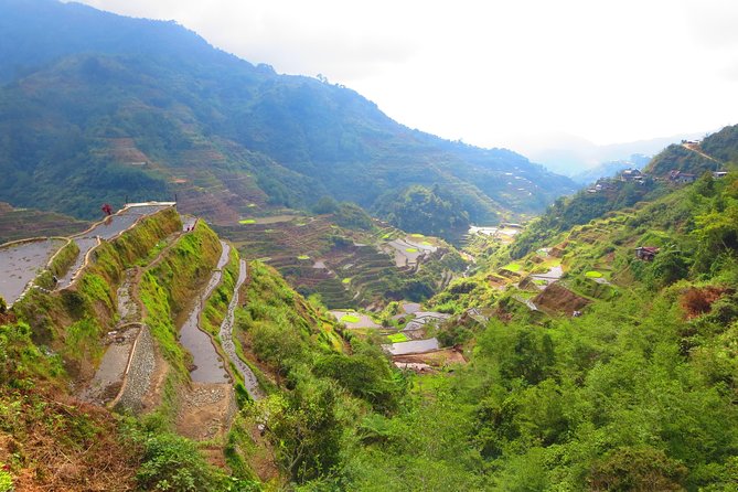 Banaue Rice terraces adventure (3 days 2 nights) from Manila*** - What $370 buys you, and what it does not
