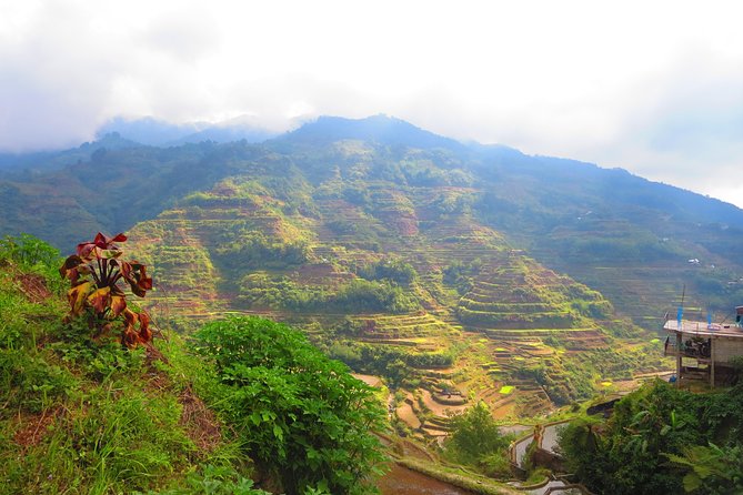 Banaue Rice terraces adventure (3 days 2 nights) from Manila*** - Fitness, group size, and the real level of effort