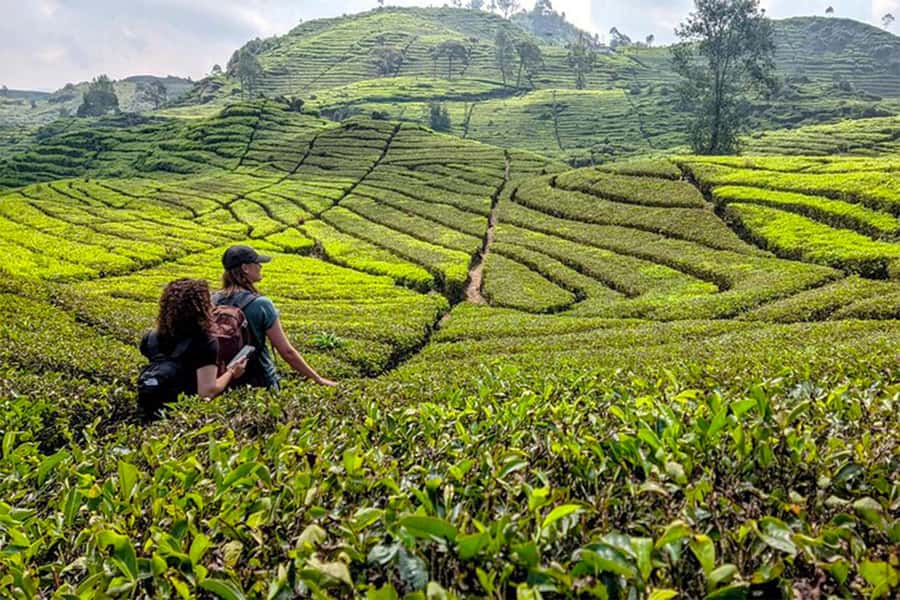 Bandung: White Crater, Scenic Tea Plantations & Hot Spring - Starting at Kawah Putih, Bandung’s White Crater