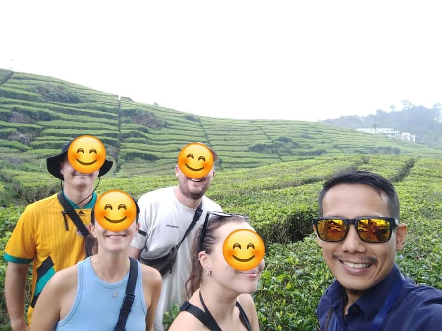 Bandung : White Crater, Tea Plantation Tour Guide Bandung - At a glance