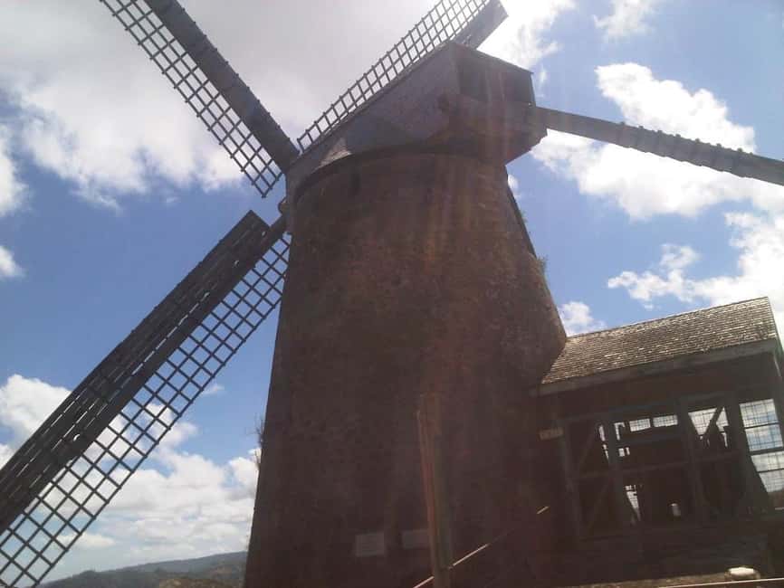 Barbados: 5.5-Hour Island Tour Plantation, Lunch and Drinks - Speightstown and northern Barbados