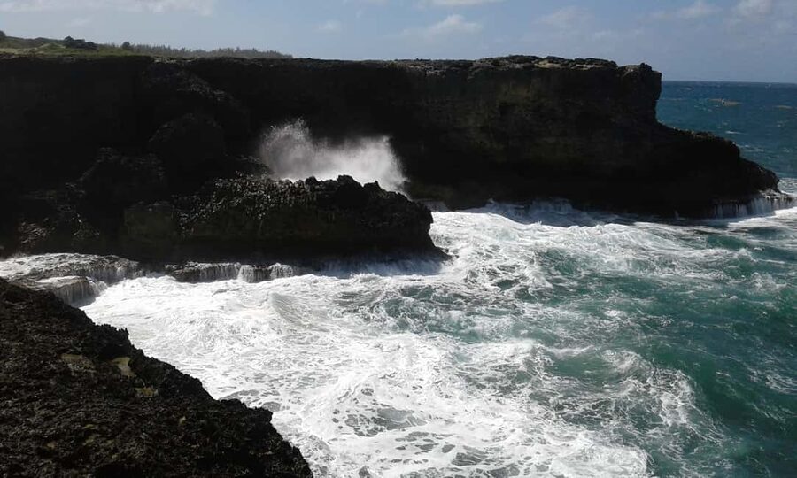 Barbados: 5.5-Hour Island Tour Plantation, Lunch and Drinks - The northern cliffs and the force of the Atlantic