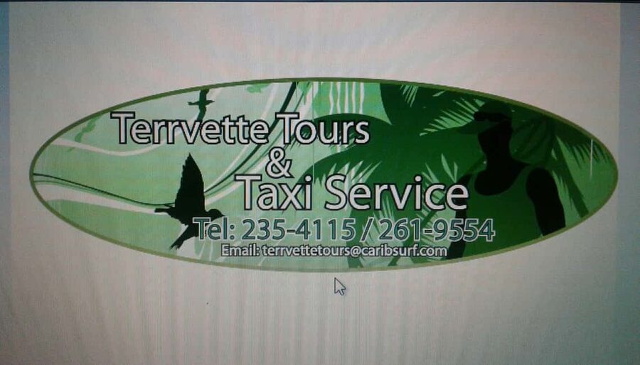 Barbados: 5.5-Hour Island Tour Plantation, Lunch and Drinks - Bathsheba and the Soup Bowl